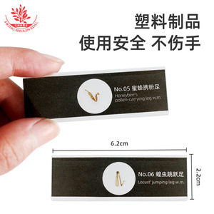<b>Plastic</b> biological specimen <b>slides</b>, butterfly mouthparts, glass-like quality, with Chinese and English labels for biological - Product Image 1