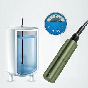 Controlador y Sensor de Nivel de Agua Sumergible a Prueba de Agua de Acero Inoxidable para Piscina, Río, Mar con IP68 y Rango Personalizable - Product Image 1