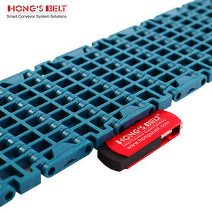 Hongsbelt F1000-84B-GB su ve meyve sıralayıcı plastik zincirli konveyör makinesi - Product Image 5