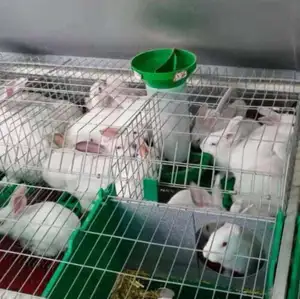 what a rabbit cage should look like