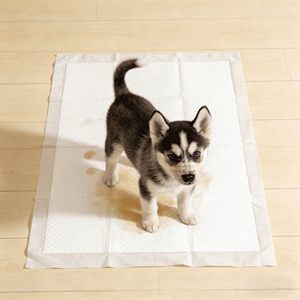 Tapis d'apprentissage pour chiens en charbon de bambou, anti-odeurs, écologiques, imperméables et anti-fuites, aux meilleurs prix - Product Image 1