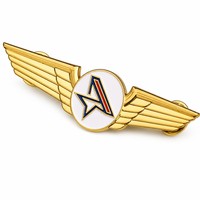 Broche personnalisée écologique en métal imprimé UV, motif ailes d'avion, plaqué or, relief 3D, cadeau pour pilotes