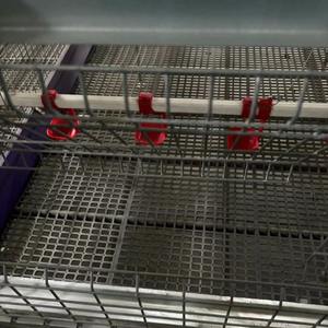 Gran oferta, sistema <span class=keywords><strong>de</strong></span> línea <span class=keywords><strong>de</strong></span> agua para gallinero, jaula para aves <span class=keywords><strong>de</strong></span> corral para <span class=keywords><strong>pollos</strong></span> <span class=keywords><strong>de</strong></span> <span class=keywords><strong>engorde</strong></span>, sistema <span class=keywords><strong>de</strong></span> agua potable eficiente, jaulas para animales - Product Image 1