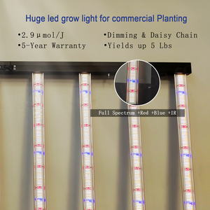 โคมไฟ LED 1300วัตต์เต็มสเปกตรัมสำหรับการเจริญเติบโตของซัมซุงหรี่แสงได้และควบคุมโซ่รูปดอกเดซี่เชิงพาณิชย์ไม่ต้องเสียภาษีสหรัฐอเมริกา - Product Image 4
