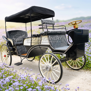Charrette Électrique de Luxe à Prix Abordable pour 5-6 Personnes, Idéale pour le Tourisme et les Mariages, avec Garantie d'un An - Product Image 1