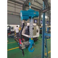 Nouvelle capacité de levage de grue de bloc de chaîne d'air pneumatique de 220V pour le matériel en métal Durable d'utilisation d'atelier