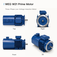 Motor de Inducción Trifásico WEG W21 Prime B35, Montaje por Piezas y Bridas, TEFC IC411 IP55, Diseño IEC para Servicio S1