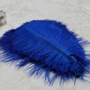 Fournisseur en gros de <span class=keywords><strong>plumes</strong></span> artisanales de 15 à 65 cm, <span class=keywords><strong>plumes</strong></span> d'autruche <span class=keywords><strong>blanches</strong></span> naturelles de grande taille, vente bon marché, pour mariage - Product Image 4