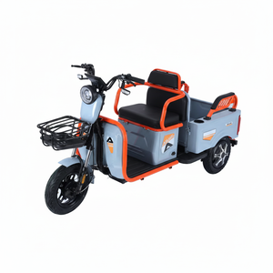 โรงงานผลิตจักรยานสามล้อไฟฟ้าแบบล้อโต 48V 600W ความเร็วเดียว สำหรับผู้ใหญ่ โครงเหล็กกล้าคาร์บอนสูง - Product Image 1