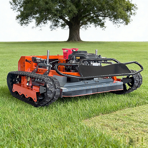 Tondeuse à gazon autotractée à essence, très rentable et performante. - Product Image 2