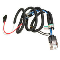 JST XH harnes kabel tembaga rakitan Cale kustom Molex Zh ph Sh kawat konektor kabel produsen kawat listrik Harness