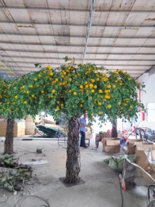 Cây chanh nhân tạo lớn trong nhà/ngoài trời cao 3m cây nhựa khung kim loại cao đẹp thiết kế lá trang trí ngoài trời - Product Image 5