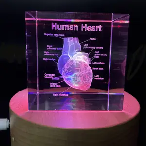 Honor Of Crystal Glass Crystal Cube 3D Human Heart With Labels Anatomical Model Statue Paperweight Crystal Glass Cube