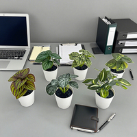 Plantes artificielles pour la décoration, grande plante verte décorative avec pot pour le salon, la maison, le bureau