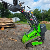Derette 450 Mini-Raupenlader Chinesischer Kompakter Radlader für den Garten