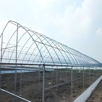 Rumah Kaca Pertanian 500 Meter Persegi Set Lengkap Rumah Kaca Struktur Rangka Logam Kit Rumah Kaca