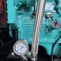 20KVA 37KVA 50KVA 62KVA 75KVA 100KVA 125KVA Gasgenerator-Set Geräuscharmer Typ Automatischer Start Fernbedienung Dual-Fuel Heimgebrauch ATS ISO