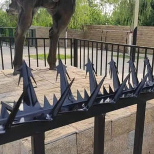 Valla <span class=keywords><strong>de</strong></span> alta seguridad galvanizada anti-escalada Picos <span class=keywords><strong>de</strong></span> dientes <span class=keywords><strong>de</strong></span> tiburón con tratamiento térmico Punta <span class=keywords><strong>de</strong></span> seguridad <span class=keywords><strong>de</strong></span> alta calidad - Product Image 4