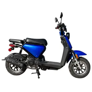 EPA 도트 모델 Legerity 및 휴대용 모델링 패션 49 cc 50 cc 모터 오토바이 가스 전원 스쿠터