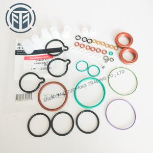 Высококачественный Комплект прокладок насоса CP1 F01M100275 или F 01 м 101 454 для насоса BOSOH - Product Image 2