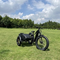 2023 Hot Selling Customized 3 Wheel Fat Tire Electric Bicycle with Sidecar for Adults