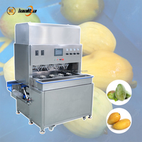 Automatische industriële mango-, avocado- en appelenschilmachine met hoge efficiëntie