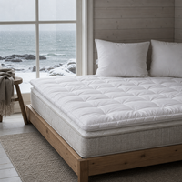 Surmatelas en coton de style hôtel 5 étoiles, épaissi, chaud, respirant, lavable, anti-acariens, antibactérien, usage hospitalier
