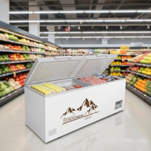 Offre Spéciale petit réfrigérateur congélateur porte coulissante ouverte sur le dessus coffre profond horizontal commercial pour les ménages hôtels Source d'alimentation électrique - Product Image 3