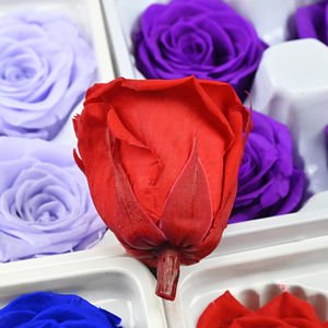 Caja de regalo de <span class=keywords><strong>Rosa</strong></span> <span class=keywords><strong>Negra</strong></span> preservada de 4-5cm, flor inmortal romántica para aniversarios de boda, rosas eternas decorativas para el Día de San Valentín - Product Image 3