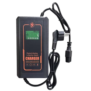 Chargeur intelligent 48V à affichage numérique LMPulse pour véhicules de type carrosserie ouverte - Product Image 2