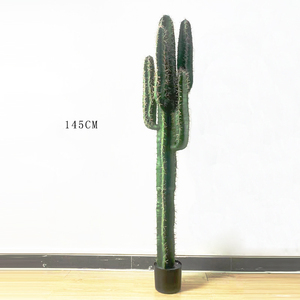 <span class=keywords><strong>Planta</strong></span> <span class=keywords><strong>de</strong></span> Cactus Artificial <span class=keywords><strong>de</strong></span> Plástico, Decoración para el Hogar, Cactus para Paisajismo, Decoración para Oficina y Jardín, Árbol Artificial, Plantas Artificiales - Product Image 3