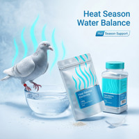 Supplément d'électrolytes professionnel pour pigeons pour la récupération post-course, la réhydratation rapide et l'amélioration de l'endurance – Marque privée, usine source