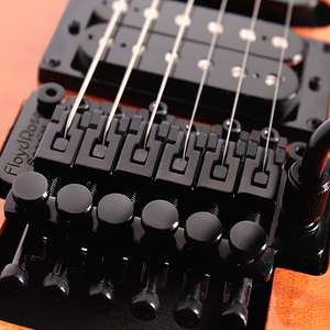 Guitare Bullfighter Floyd Rose Pickup Modèle B100 Manhogany Neck, utilisation professionnelle, guitare personnalisée - Product Image 4