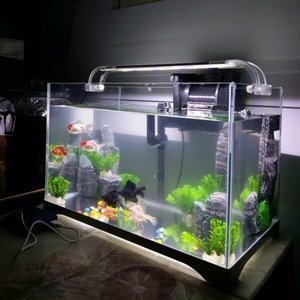 Bể Cá <span class=keywords><strong>Mini</strong></span> Cầm Tay Để Bàn Bể Cá Bể Cá Thủy Tinh - Product Image 6