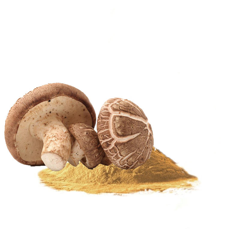 Высшее качество Usda & Eu органический экстракт грибов шиитаке порошок полисахарид