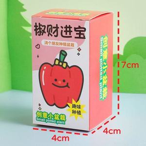 Mini Piante in Vaso Fai-da-Te, Articoli Artigianali, <span class=keywords><strong>Attività</strong></span> Scolastiche, Regali per le Vacanze dei <span class=keywords><strong>Bambini</strong></span>, Micro Piante Verdi - Product Image 3