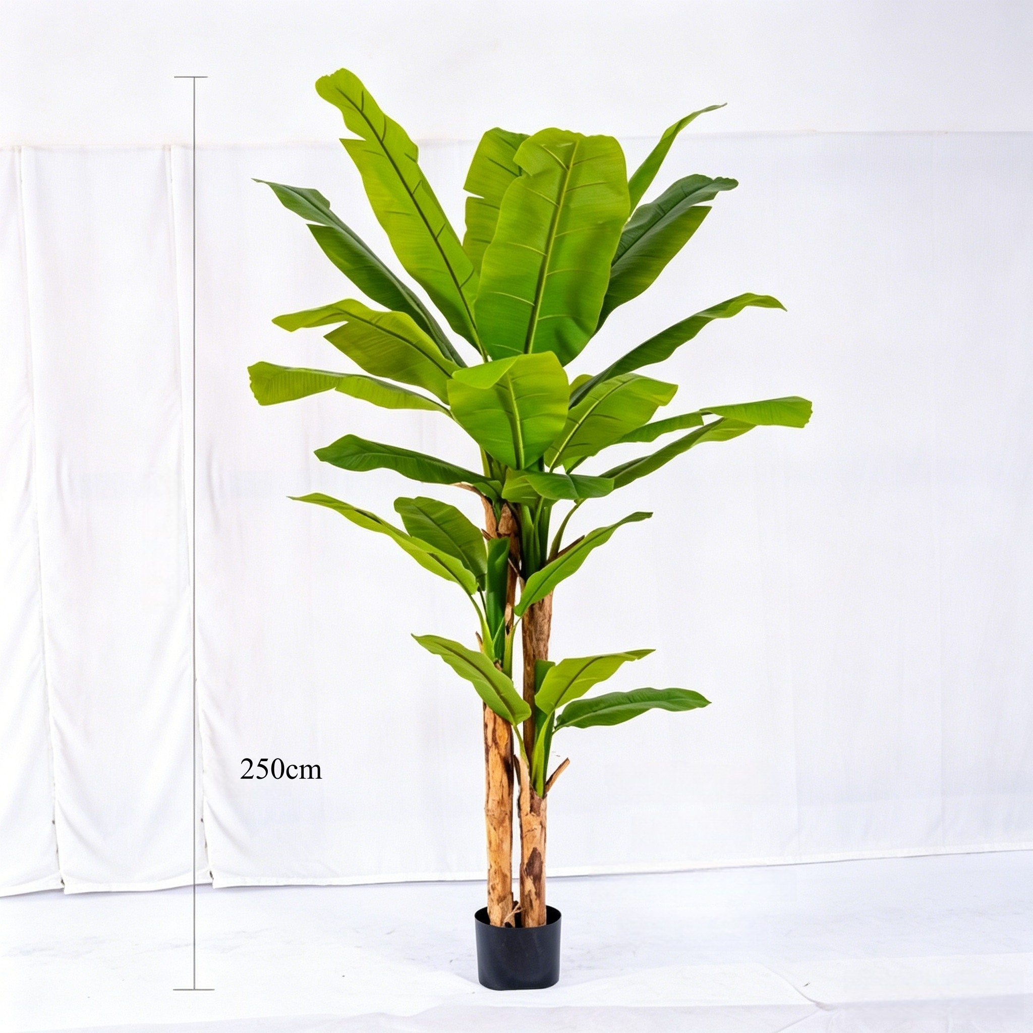 250cm