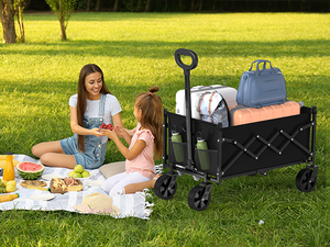 Carretilla Plegable para Jardín, Carrito de Mano, Carrito Gorilla, Carrito Utilitario, Carrito Plegable para Camping, Venta al Por Mayor - Product Image 2