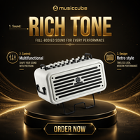 Amplificateur de guitare multifonction Musiccube MA60III 120W, combo pour basse et guitare électrique, haut-parleur de rue rechargeable et portable
