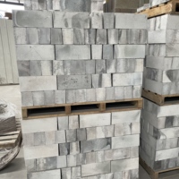 Étagères de four en carbure de silicium lié au nitrure, briques réfractaires de taille et de forme personnalisables