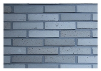 Briques de revêtement de mur solides minces frittées en argile blanche Briques réfractaires intérieures et extérieures de style naturel en argile
