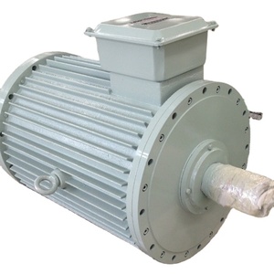 Générateur magnétique alternatif PMG pour énergie éolienne, hydroélectrique et solaire hybride - Product Image 5