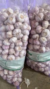 Ajo Fresco Cosecha 2026, Registro NAFDAC, Listo para Exportación, Bolsa de Malla de 5kg, 10kg, 20kg, Caja de Cartón, para Importación a Lagos, Nigeria - Product Image 4