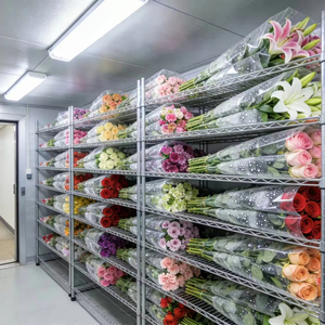 Chambre froide de 20 pieds pour supermarché, fleuriste, cave à bière, avec panneaux de 150 mm pour stockage et présentation - Product Image 1