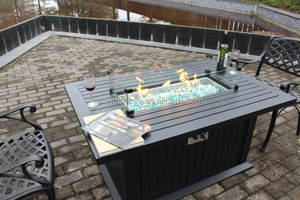 เฟอร์นิเจอร์กลางแจ้ง/สถานที่ดับเพลิงแก๊ส/Firepit - Product Image 5