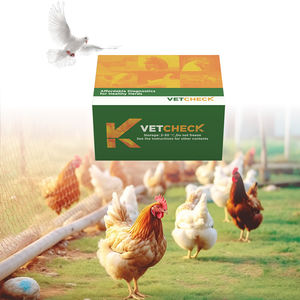 수의학 소 조산아 임신 테스트 스트립 페이지 세트 빠른 진단 테스트 카드 소 암소를위한 간단한 연습 - Product Image 6