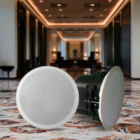 Système de sonorisation Haut-parleurs de plafond Haut-parleurs en ligne suspendus Caisson de basses Connexion facile du système de sonorisation PA