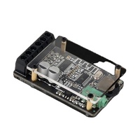 TPA3110D2 Çift Kanallı Stereo Mini Amplifikatör Kartı, DC9-24V için 2*15W Güç, Diğer Elektronik Bileşen Modülleri