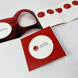 Cetakan kualitas tinggi kertas Matte tebal brosur jendela cetak kustom untuk promosi produk - Product Image 1