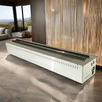Insert de cheminée portable en acier inoxydable à éthanol, sans fumée, avec allumage automatique et télécommande, pour décoration intérieure, biochiminea